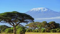 3 Days Tsavo West (Ziwani) & Amboseli (Kilimanjaro) Adventure
