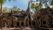 Explore Angkor Wat and Ta Phrom in depth