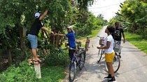 Mekong Delta With Biking ( Non Touristy)