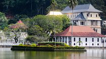 Kandy Day Tour from Colombo or Negombo by Private Car or Van with Driver