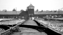 Auschwitz - Birkenau Tour With Private Transfer 