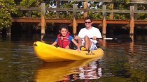Guided Kayak Tour with Manatee & Dolphin Sightings