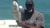 Clearwater Inshore Fishing Charter