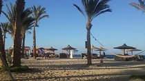 Abu Dabbab Beach Full Day From Hurghada