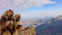 12days Trekking In Simien Mountain & Around Lalibela
