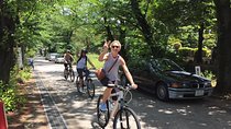 Small Group Cycling Tour in Tokyo