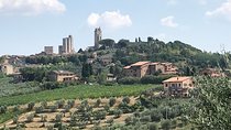 shore excursion San Gimignano, winery, Volterra from Livorno port