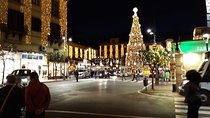 Tour of the City of Sorrento with beautiful Christmas decorations