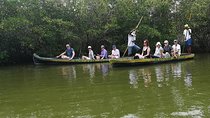 Cartagena : Private Mangrove Tour + Lunch + Horse riding