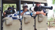 1 Day Photographic Wildlife Safari from Hazyview to Kruger Park