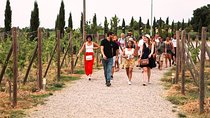 San Gimignano, Siena, Monteriggioni: Fully Escorted Tour, Lunch & Wine Tasting