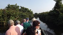 The birdwatchers quest:through the Swamp of Royal Treasure–Muturajawela Wetlands