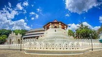 Private one-day tour to Kandy from Colombo or Negombo 