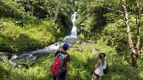 Bali Most Scenic Waterfalls Trekking