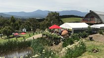 [PRIVATE TOUR] Yarra Valley Winery | Day Tour