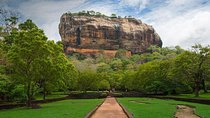 Full Day Tour to Dambulla Cave Temple & Sigiriya Rock Fortress From Anuradhapura