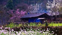 Private Tour: Hanoi - Ha Giang 3 days/2 nights