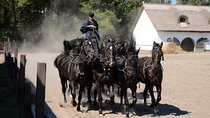 Horseshow on the Hungarian Puszta, private tour from Budapest with entry!