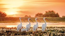  Danube Delta Private Tour from Bucharest - 2 Days tour