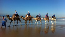 Camel Riding In Agadir 