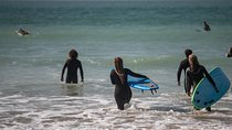 Join our Surf Day trips and learn surfing!