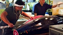 Tokyo Tsukiji Food & Culture 4hr Private Tour with Licensed Guide