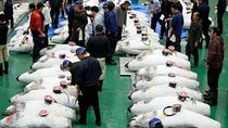 Toyosu Market Morning Tuna Auction and Tsukiji Food Tour with Licensed Guide