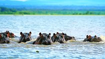 6 Days Samburu Sweetwaters Lake Nakuru & Lake Naivasha Wildlife Safari