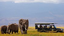6-Days Rift Valley Lakes and Masai Mara Private Safari