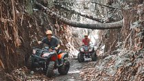 Wild Jungle Expedition: Jungle Hopper & Quad ATV Adventure