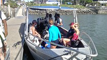Introductory Scuba Dive experience - Whitetip Marine Adventures