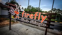 Firefly, Templers Park Water Falls And Batu Caves Tour