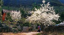 2 Days Sapa Trekking In Cat Cat And Ta Van Village From Hanoi