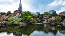 Tokyo Japanese Garden Lover's Private Tour with Government-Licensed Guide