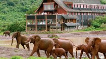 Private 7 days Kenya's Best wildlife safari