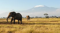 10-Days Fantastic Kenya Wildlife Private Safari 