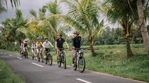 Ubud Bliss: Village Cycling and Jungle Swing Adventure