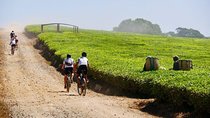 8 Days Africa Biking Tour