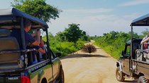 Full-Day Guided Udawalawe National Park Tour from Waskaduwa