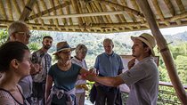 Coffee Tour at Hacienda Venecia from Salento
