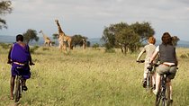 7 Days Kenya Cycling Wildlife Tour Adventure
