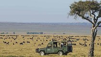 10 Days Africa Photographic Safaris Package