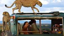  12 Days Kenya wildlife Safari Holidays