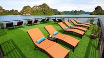 Peony Cruise Halong Bay 2 days 1 night