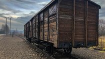 Auschwitz - Birkenau Tour with Private Transport from Krakow