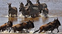 3 Day Maasai Mara Air Package with Limited Slots