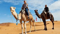 5-Day Desert Tour from Marrakech to Merzouga with Camel Ride
