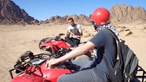 Sharm El Sheikh: Quad Runner Bike Adventure & Camel Rides