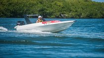 Speedboat and snorkel tour: Single Passenger Boat