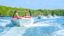 Cancun speedboat and snorkel tour: shared speedboat